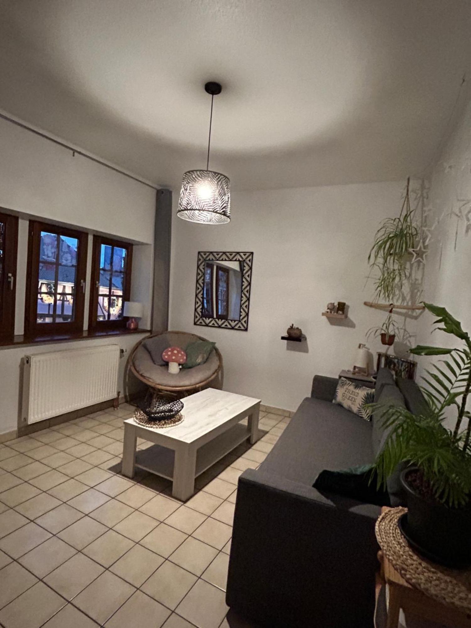 Charme,detente Et Vue Imprenable En Centre Apartment Riquewihr