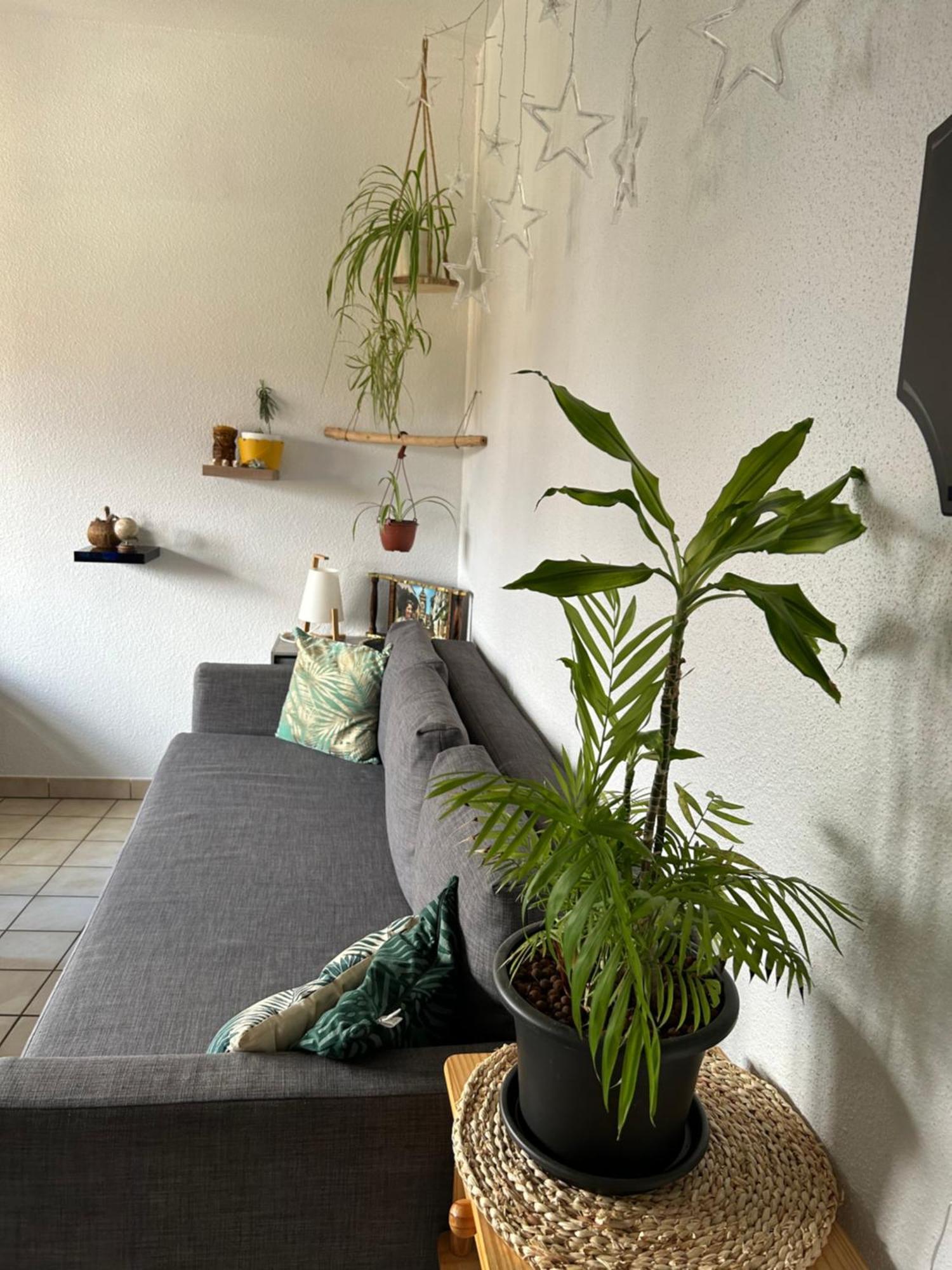 Charme,détente Et Vue Imprenable En Centre Appartement *