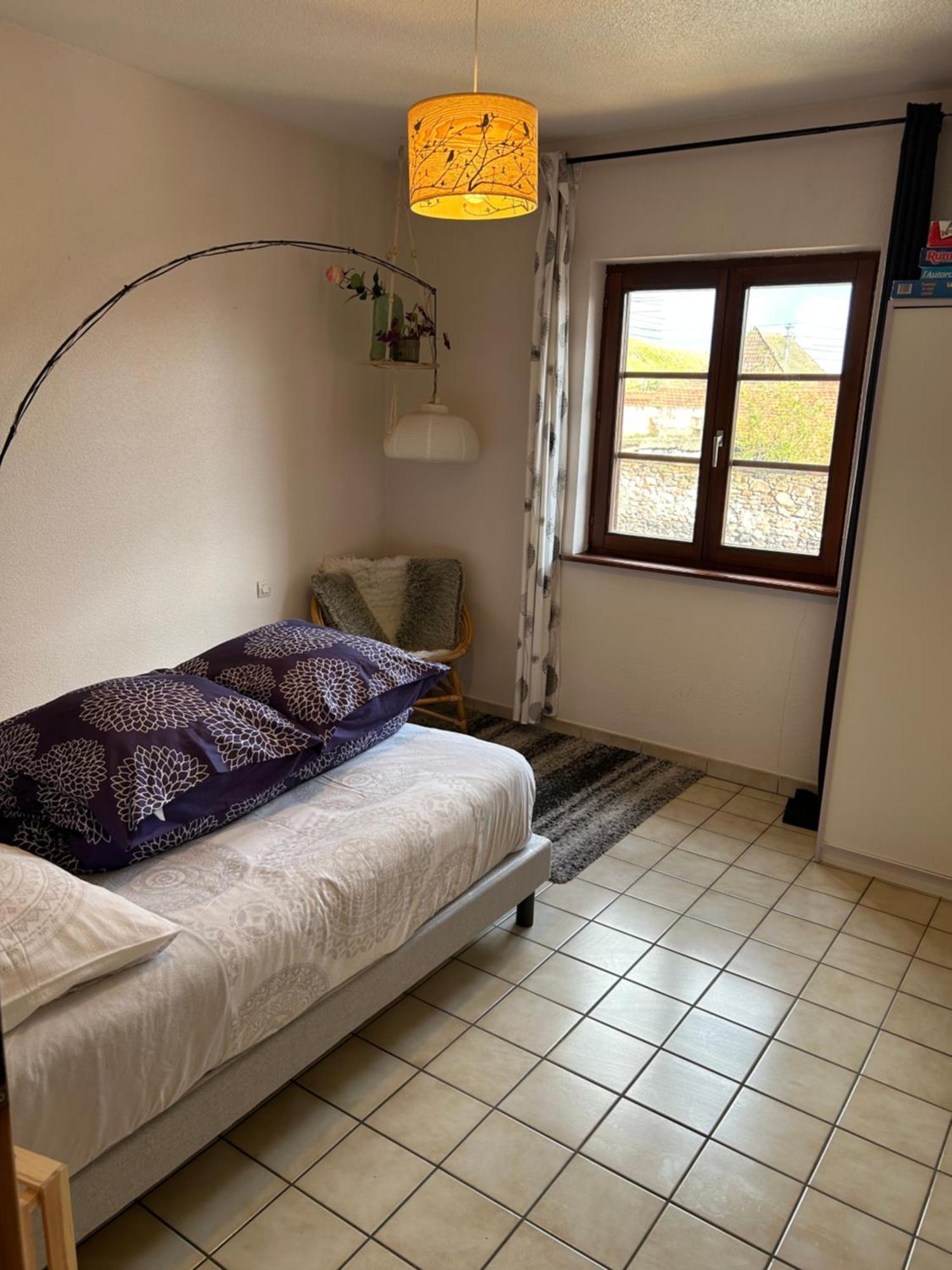 Appartement Charme,détente Et Vue Imprenable En Centre Riquewihr